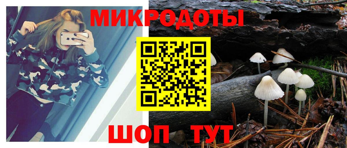 Галлюциногенные грибы Psilocybe Сосновоборск