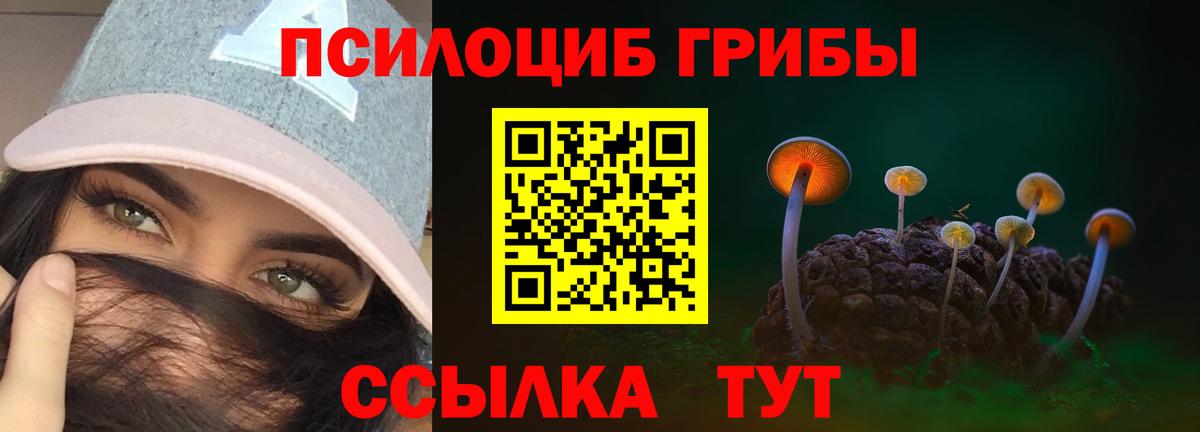 Сосновоборск  Псилоцибиновые грибы мицелий  Вход с VPN 